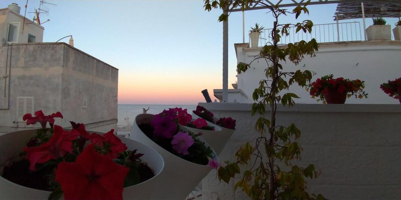 מלון My Monopoli- Casa Dei Fiori "Orchidea" Centro Storico מראה חיצוני תמונה