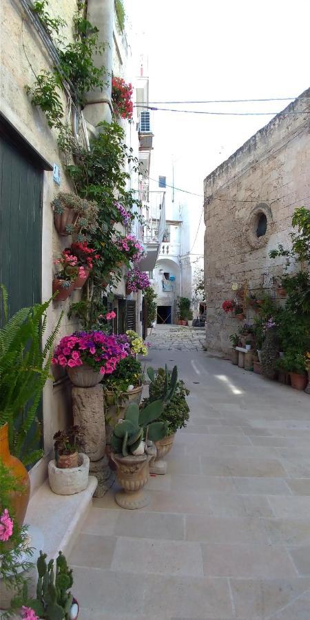 מלון My Monopoli- Casa Dei Fiori "Orchidea" Centro Storico מראה חיצוני תמונה