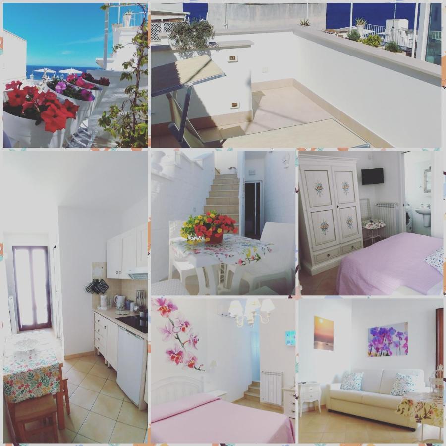 מלון My Monopoli- Casa Dei Fiori "Orchidea" Centro Storico מראה חיצוני תמונה